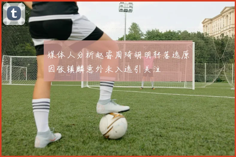 媒体人分析赵睿周琦胡明轩落选原因张镇麟意外未入选引关注